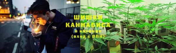 дживик Балахна
