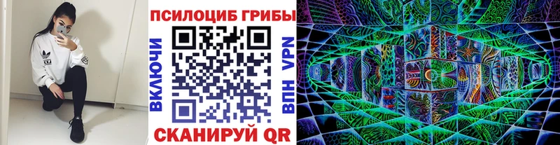 Галлюциногенные грибы Cubensis  купить   Верхняя Салда 
