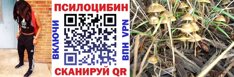 Псилоцибиновые грибы Magic Shrooms Верхняя Салда
